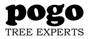 logo for Pogo Tree Experts